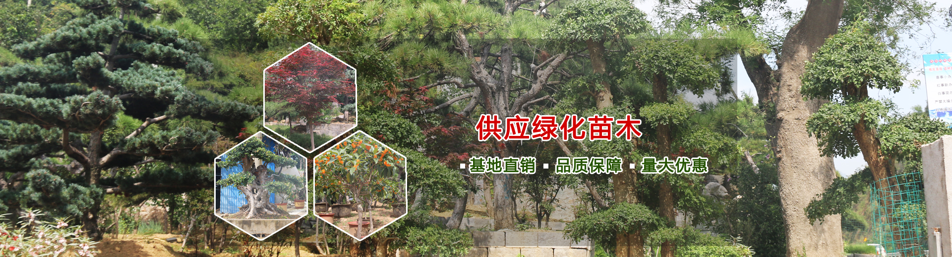 山東向陽(yáng)電子科技有限公司 